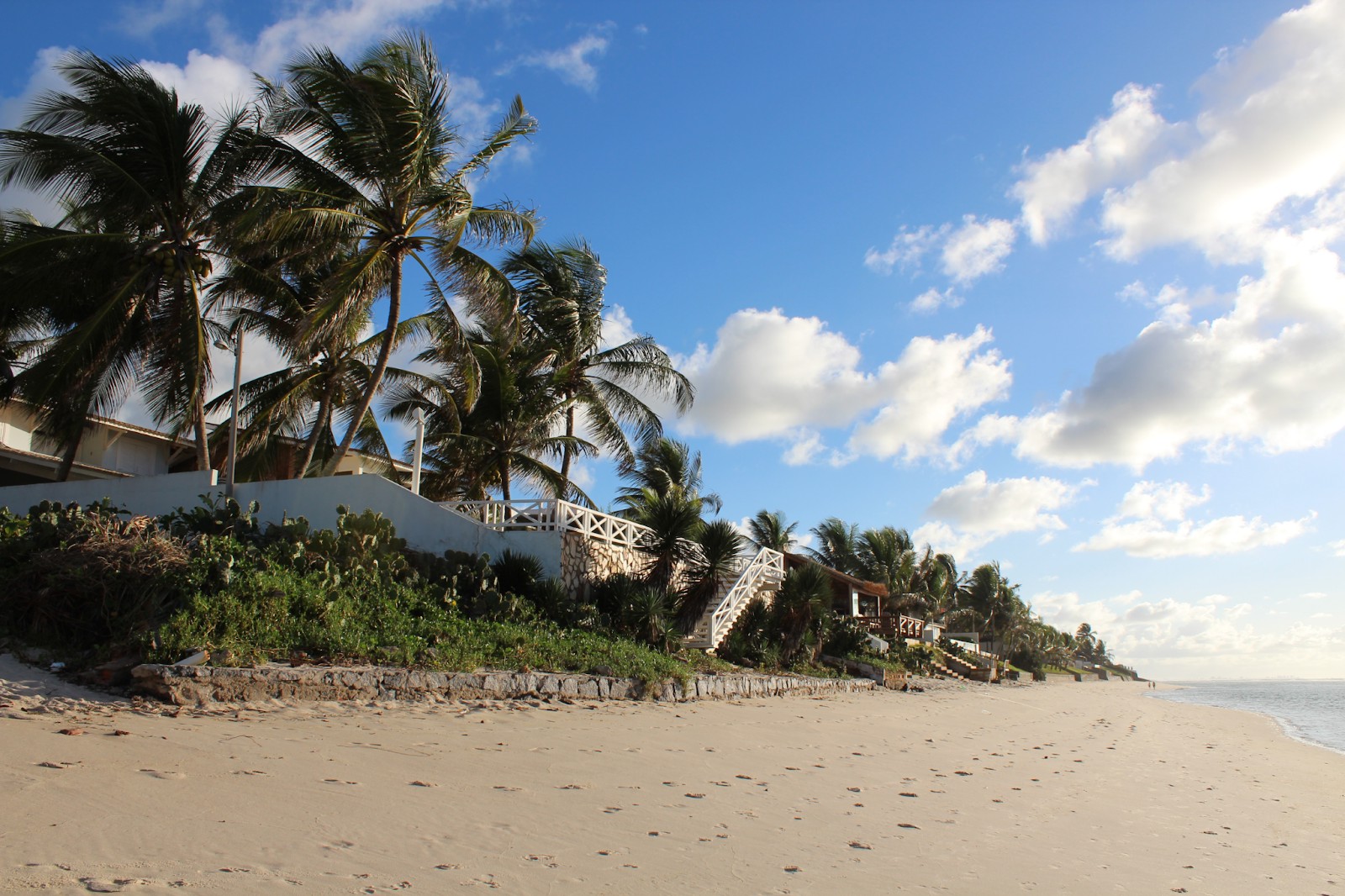 foto36.jpg